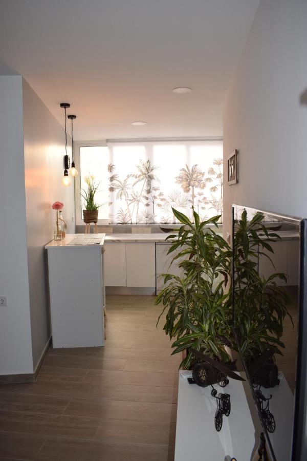 Apartamento Ladevesa 埃尔切 外观 照片